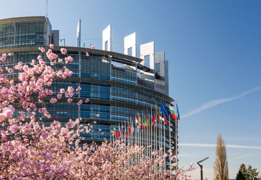 베스트 웨스턴 플러스 호텔 빌라 데스트