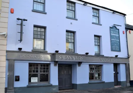 New Park Hotel Отели в г. Лландифаелог