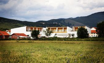 Hotel Gracanica
