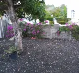 Lagardan Ocean View Hotels near James Bond Beach