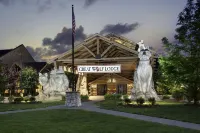 Great Wolf Lodge Williamsburg Hotels in 