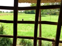 Family Batcave Homestay Hotels in Banan