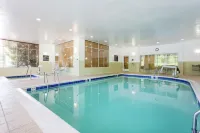 Hampton Inn Petersburg-Southpark Mall - Gym