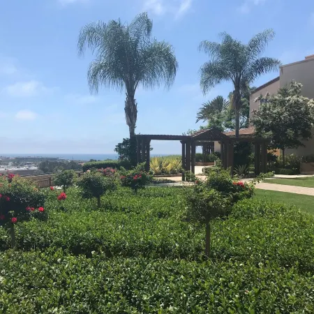 Grand Pacific Palisades Resort Отели рядом с достопримечательностью «Флауэр Филдс»