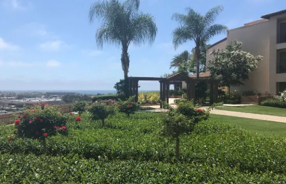 太平洋大酒店度假村