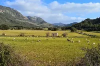 Hostal Ca'n Tiu Hotels in Consell