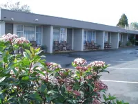 Frimley Lodge Motel Hotels in Waipatu