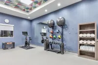 帕里斯希爾頓家2套房飯店 - 健身房