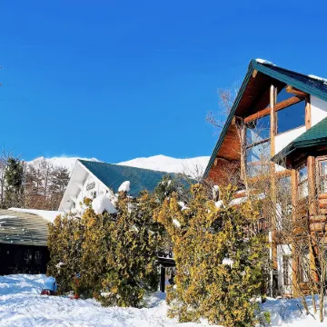 Hakuba Pension & Log Hotel Meteor