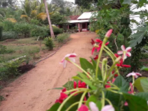 Sigiriya Pikaso Homestay