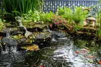 肯尼迪莊園民宿