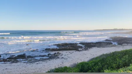 Milly's Middleton - Pet-Friendly