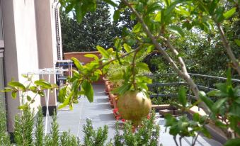 Room-Etna Holiday Home Studio Glicine