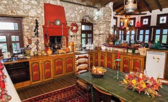 260m2 Unique Mountain House in Lilea Parnasos