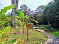 Thoas Lodge Puerto Cortés otelleri