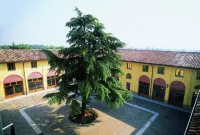 Bes Hotel la Muratella Hotel di Calcinate