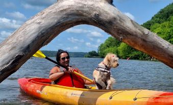 Kayak Starved Rock Campground