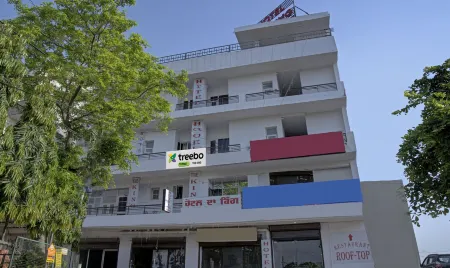 Treebo the King Mohali