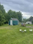Sun Shed Farm Stay
