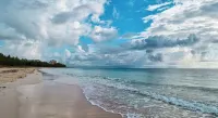 NEW Stunning Ground Floor Beachfront Studio in Coral Beach,  Grand Bahamas - de playa