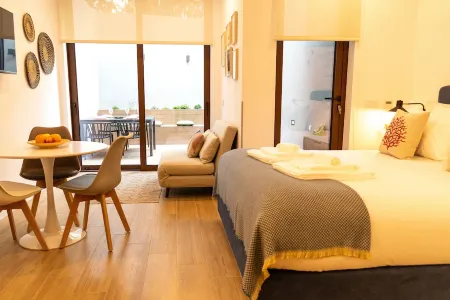 Studio with terrace, 250m from Praia da Granja