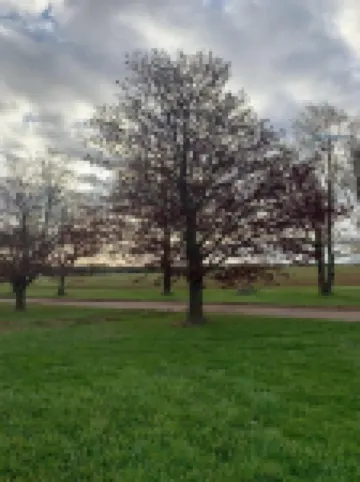 Waterfront 6 bedroom (8 beds) , 51/2 bath house in Summerside, Pei.