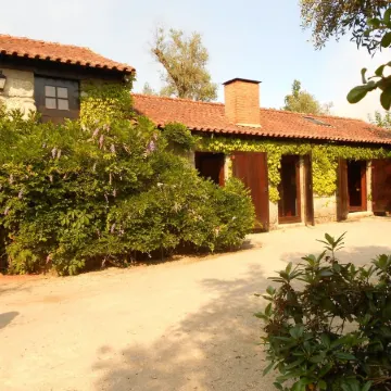 Gatao: Cottage in the begining of Douro very cosy and peaceful