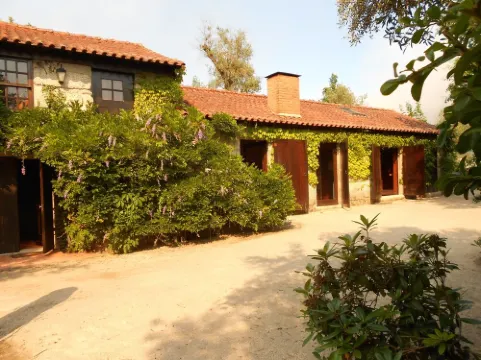 Gatao: Cottage in the begining of Douro very cosy and peaceful
