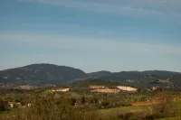 Poggio al Turco - Wohnung 4 Hotels in Suvereto