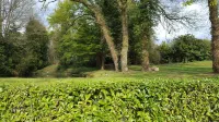 "Le Millet"  Furnished Apartment Between Land and Sea, 5 mm from Lac au Duc.