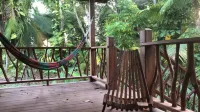 Amazing Jungle Retreat Close to San Ignacio