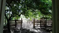 La Granja: Farm Paradise– Integrated farm