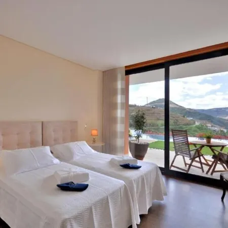 6 bedrooms/suites, infinity pool, gymnasium, gardens, barbecue - Douro Valley
