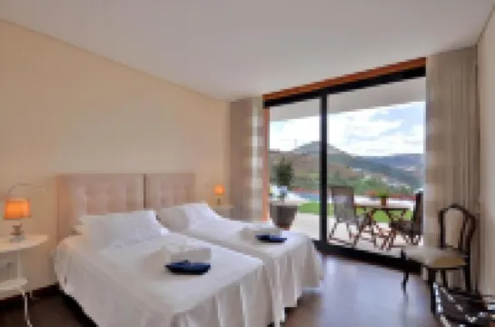 6 bedrooms/suites, infinity pool, gymnasium, gardens, barbecue - Douro Valley Hotels in 