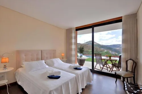 6 bedrooms/suites, infinity pool, gymnasium, gardens, barbecue - Douro Valley