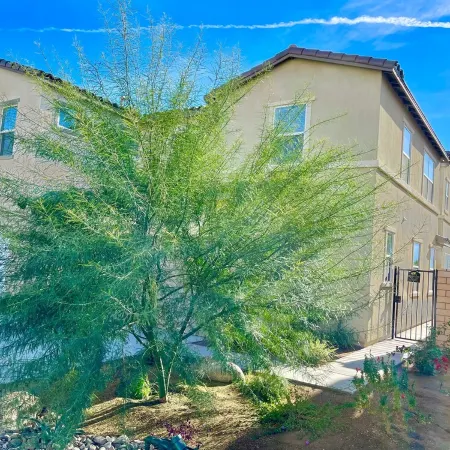 "Luxury Lakefront Paradise: Heated Pool Haven with Unrivaled Views"