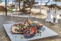 Catalonia Ses Estaques - Adults Only - sarapan