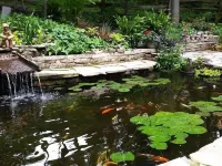 Forest Hill Bed and Breakfast فنادق في كيتشنر
