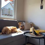 Urokliwy Domek Wakacyjny nad Morzem, Otoczony Lasem Sosnowym