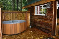 Copper Creek Inn at Mt Rainier Hotels in Ashford