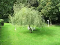 Logis Deshors-Foujanet Hotels in Uzerche