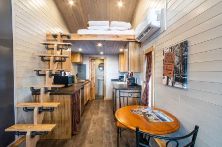 Tiny House Leadville Colorado
