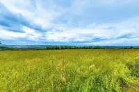 隱蔽的牛津小屋，佔地75英畝：日落景色！ - 3 星級