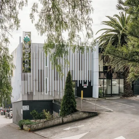 Areca Launceston
