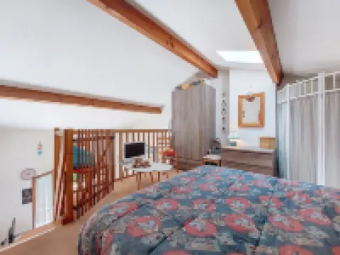 Jardins de la Palmyre 2