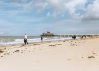 Chalet in de Haan Near Sandy Beaches - Beach
