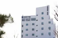 Andong Woryeong Hotel by NewCZ