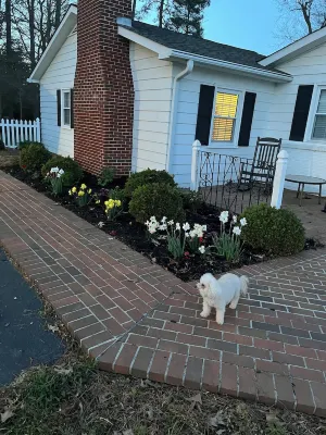 Bluebell Cottage!  Waterfront, Boat Dock in Gloucester VA. Handicap accessible! Hotels in Gloucester