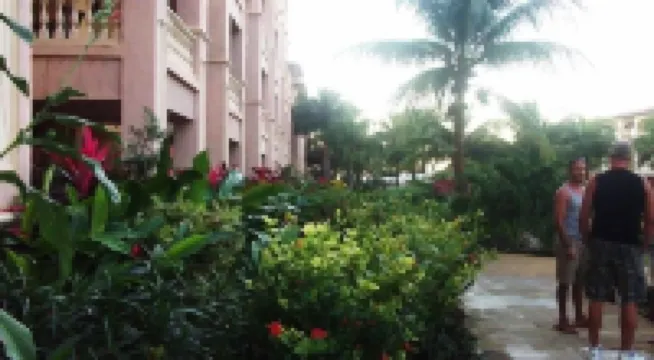 Infinity Bay, Beautiful Pool Front, Ground Floor,  Condo!
