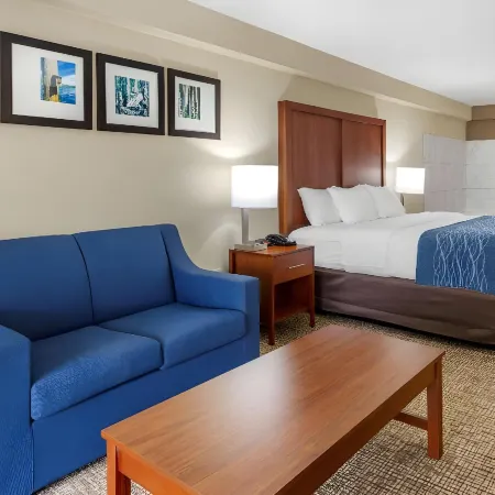 Comfort Inn & Quality Suites